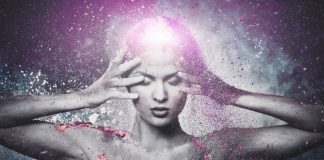 Comprendre le « timing » des Manifestations